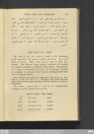 The Regular Verb