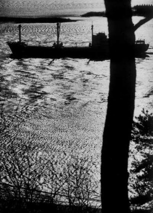 Hamburg-Blankenese. Blick vom Falkensteiner Ufer auf die Elbe. Ein Frachter fährt Richtung Hafen