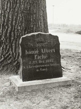 Gedenkstein an der König-Albert-Eiche
