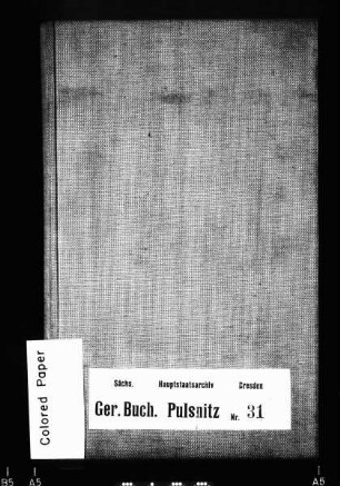 Gerichtshandelsbuch von Niedersteina (bei Pulsnitz), Bd. 1
