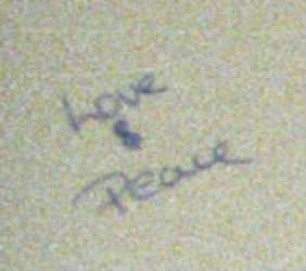 Love & Peace
