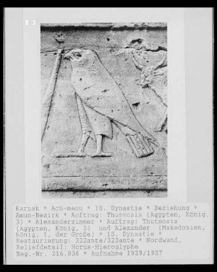 Horus-Hieroglyphe
