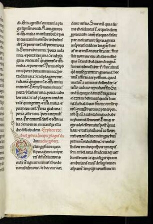 Zierinitiale (Prolog Buch Daniel): D(anielem)