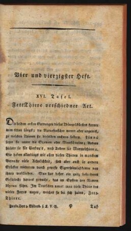 Vier und vierzigster Heft.