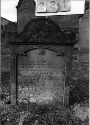 Grabstein 221 (Index: 99798743) Material: Sandstein Zustand: verwittert/eingesunken Maße HxBxT: 75x53x15 cm Beschreibung: Stele mit eingezogenem Bogenabschluß, seitlichen Akroteren, Sockel Symbolik: Blüte, Blütenkranz: Grabstein 221