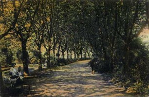 Postkartensammlung Weis mit Ansichten Karlsruhes. Stadtgarten