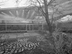 Blumenschau "251. Frühling in Karlsruhe" in der Nancyhalle.