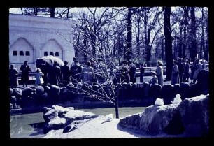 Zoo 25.4.54.