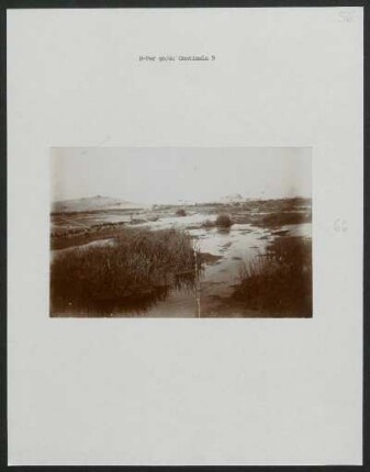 Centinela