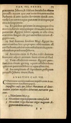 Analysis Cap. VII.