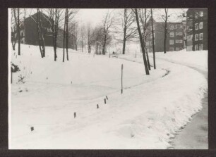 Hiddeser Berg im Winter 1969. Detmold. Hiddesen