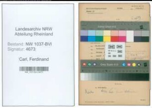 Entnazifizierung Ferdinand Carl , geb. 11.12.1908 (Filialleiter)