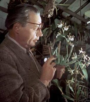 Otto Schwarz im Botanischen Garten Jena : Lehrstuhlinhaber für Spezielle Botanik und Vorsitzender der Thüringen Botanischen Gesellschaft und des Botanischen Gartens der FSU Jena