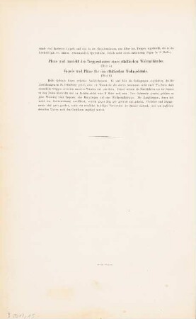 Erläuterungen: Erläuterungen zur Basilika Sao Torcato, Guimaraes und zu Treppenhaus eines städtischen Wohnhauses (aus: Entwürfe von Bohnstedt, Heft I-VIII, 1875-1877)