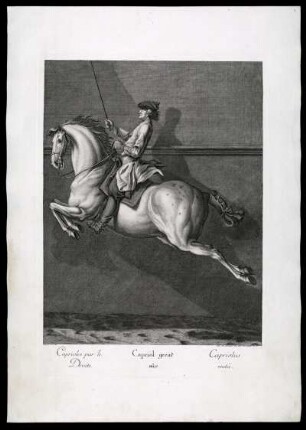 Caprioles par le Droite = Capriol gerad aus = Capriolus recta