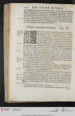 Cap. VII