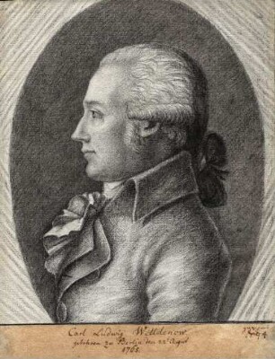 [Portrait of Carl Ludwig Willdenow]