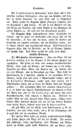 Zwölfte Ordnung. Die Vierhänder (Quadrumana)