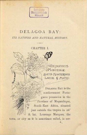 Delagoa Bay, its natives and natural history