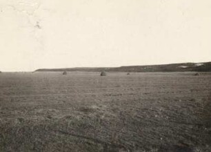 Sylt. Kampen. Geest und Marsch. Blick auf den Steilrand der Geest. Im Vordergrund Marschland