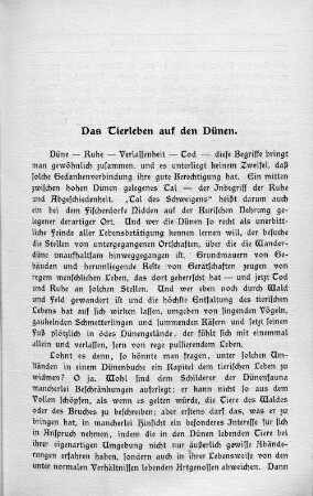 Das Tierleben auf den Dünen.