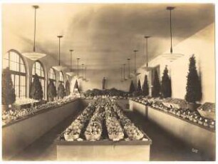Ausstellungsgarten Jubiläums-Gartenbau-Ausstellung 1926, Dresden: Ausstellungshalle: Innenansicht mit Obst