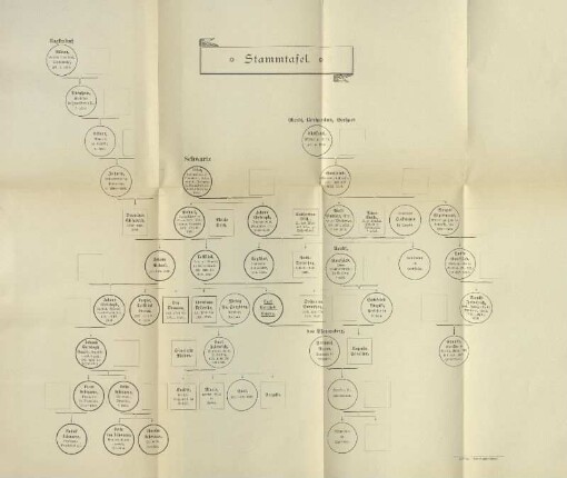 Stammtafel