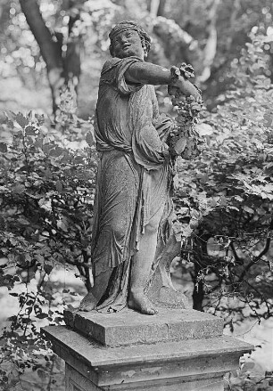 Flora