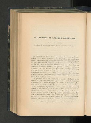 Les Moutons de l'Afrique occidentale