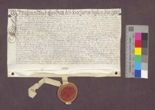 Johann Michael Egelin, Kaplan der St. Nikolaus-Pfründe in Kirchhofen verkauft an Zillioz Fuchs zu Wendlingen eine abgebrannte Hofstatt.