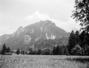 Schwangau