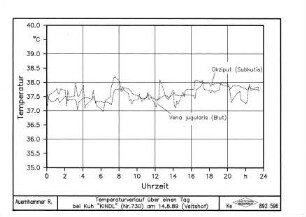 Temperaturverlauf über einen Tag Kuh Nr. 730 am 14. August 1989