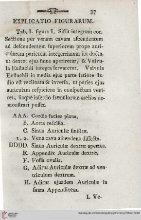 Explicatio Figurarum