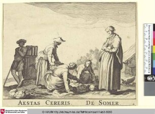 Aestas Cereris. De Somer.