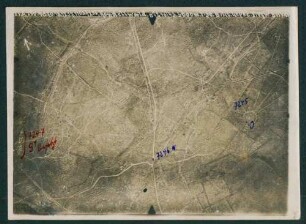 Foto des Geländes im "Rondellwald" südlich von Ypern (Luftbild)