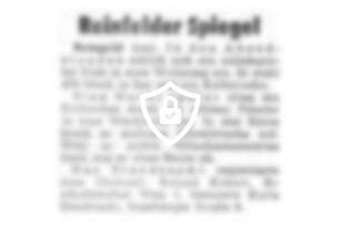 Reinfelder Spiegel