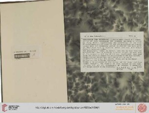 Band 1: Tutankhamun tomb photographs: a photographic record in 5 albums containing 490 original photographic prints ; representing the excavations of the tomb of Tutankhamun and its contents