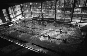 Staufen: Haus Münstertal; Hallenschwimmbad; von oben