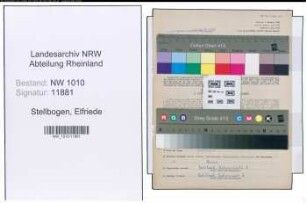 Entnazifizierung Elfriede Stellbogen , geb. 02.01.1906 (Studienraetin)