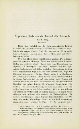 Organische Reste aus der Lettenkohle Rottweils