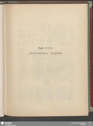 Tafel CXXVII. Dimorphites, Tropites