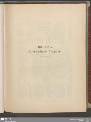 Tafel CXXVII. Dimorphites, Tropites
