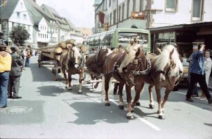 St. Märgen: Tag des Schwarzwälder Pferdes; Schwarzwald Trachtenumzug; Langholzwagen