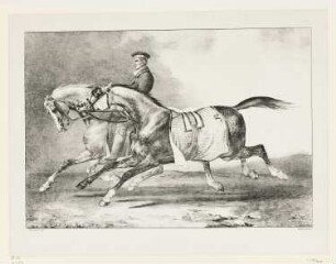 Zwei Apfelschimmel beim Ausritt, Blatt 3 der Folge "Grands chevaux"