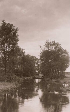 Spreewald : Typischer Spreekanal mit Uferbäumen, vor allem Erlen.