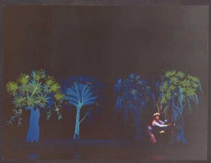 Aladin und die Wunderlampe (Felix Sommer)