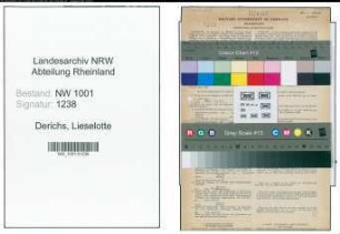Entnazifizierung Lieselotte Derichs, geb. 23.08.1906 (Lehrerin)