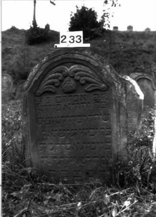 Grabstein 233