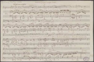 Unter den Zweigen in tiefer Nacht, V, pf, op.22/3 - BSB Mus.ms. 10091 : Unter den Zweigen in tiefer Nacht