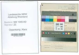 Entnazifizierung Klara Ossenkamp , geb. 30.01.1909 (Beamtin)